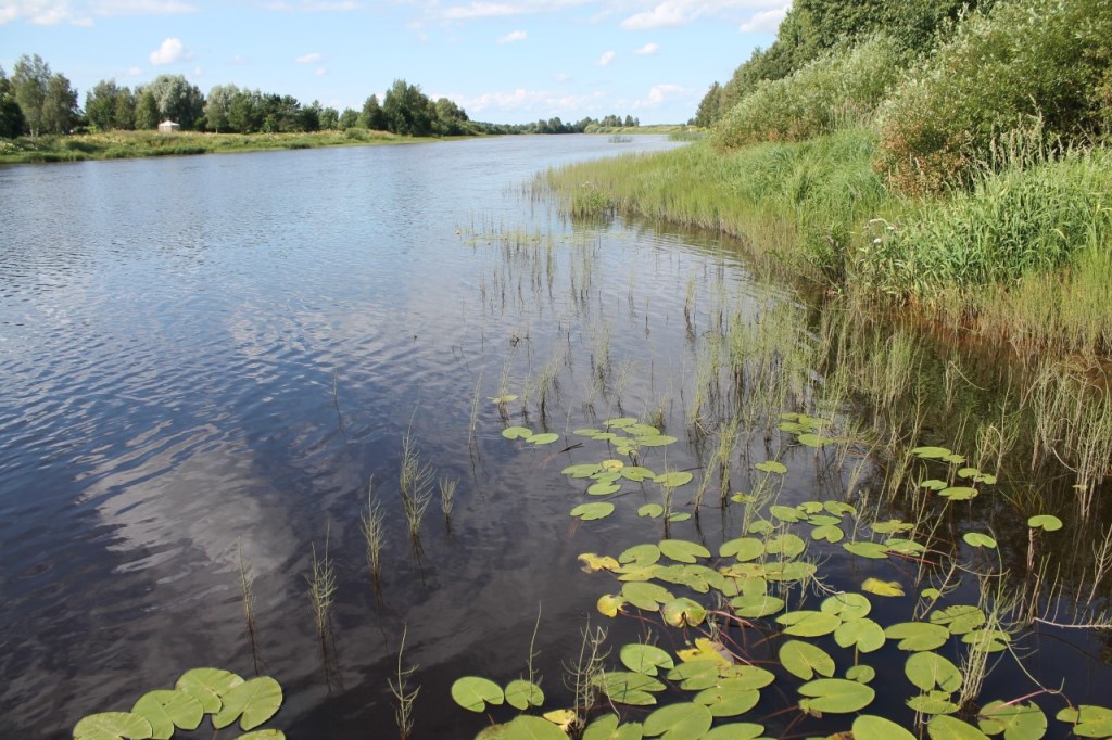 Pyhäjoen rantaa Oulaisissa